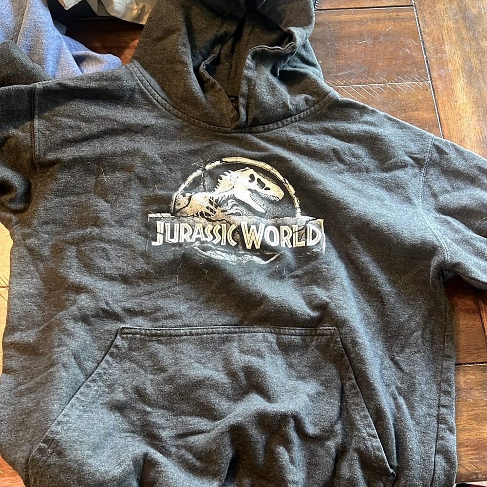 Jurassic world hoodie youth
